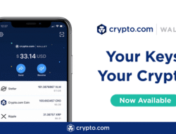 Does crypto com have a wallet Explore its features