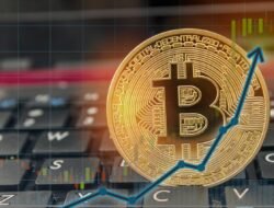 Which crypto wallet has the lowest fees for you?