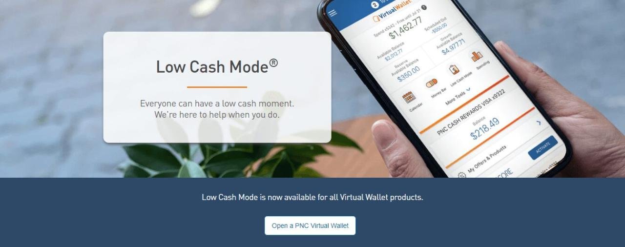 Pnc Bank Virtual Wallet Review | IUCN Water