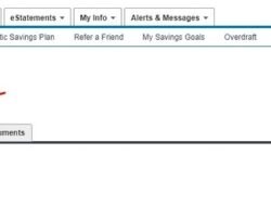 Capital One Whats In Your Wallet Discover The Benefits