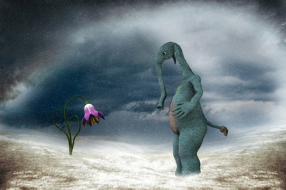 Ilustração gratis: Surreal, Inverno, Flor - Imagem gratis no Pixabay ...